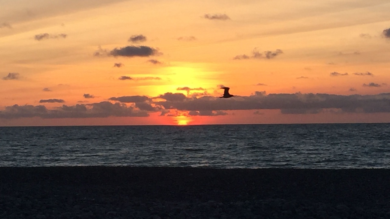 Photo of Others in Le Treport