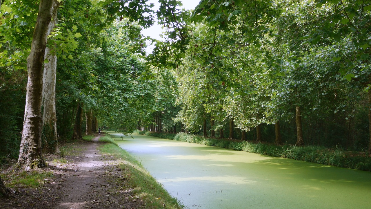 Photo of Outdoor in Lorris