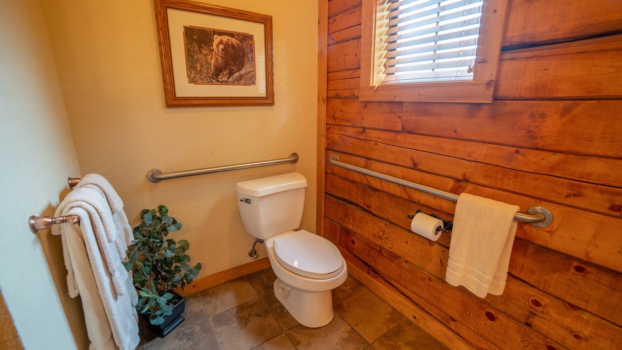 Photo of Bathroom in Branson Theater District