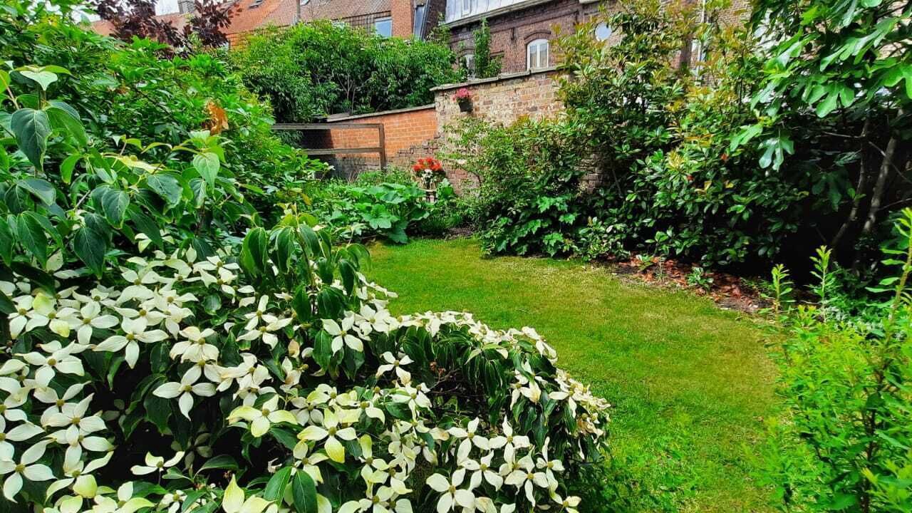 Photo of Outdoor in Tourcoing
