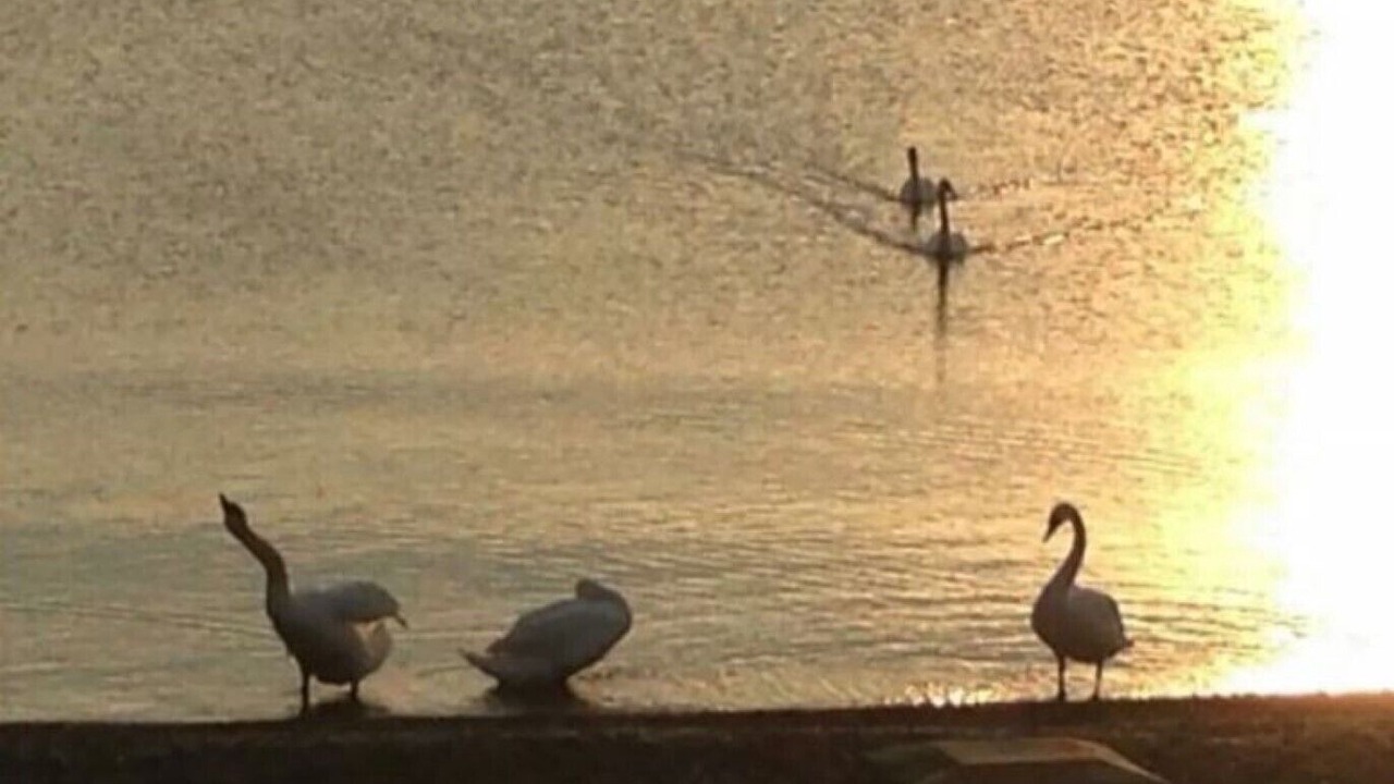 Photo of Others in North Greece