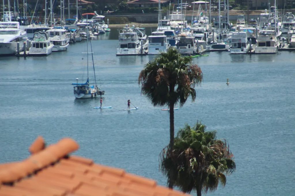 Photo of Others in Point Loma