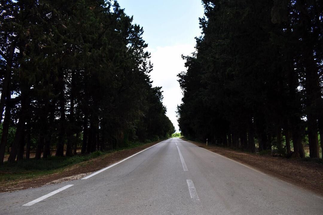 Photo of Outdoor in Benkovac