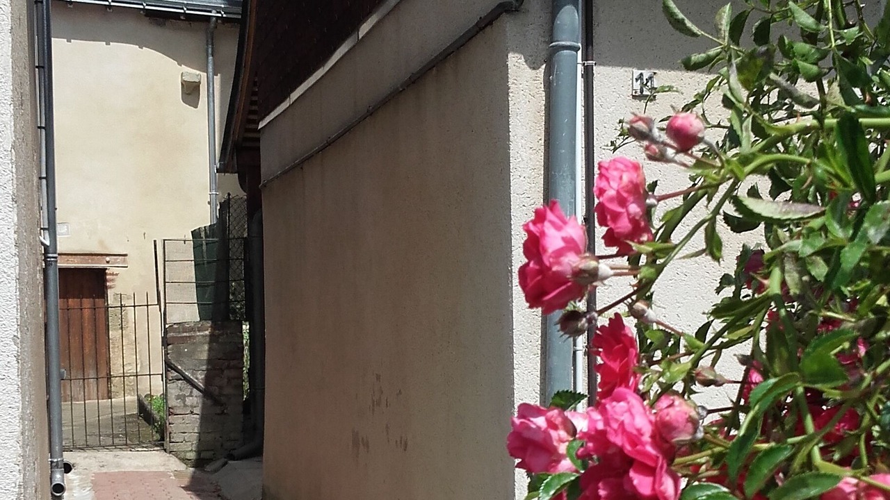Photo of Outdoor in Amboise