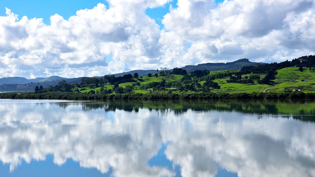 Photo of Others in Kohukohu