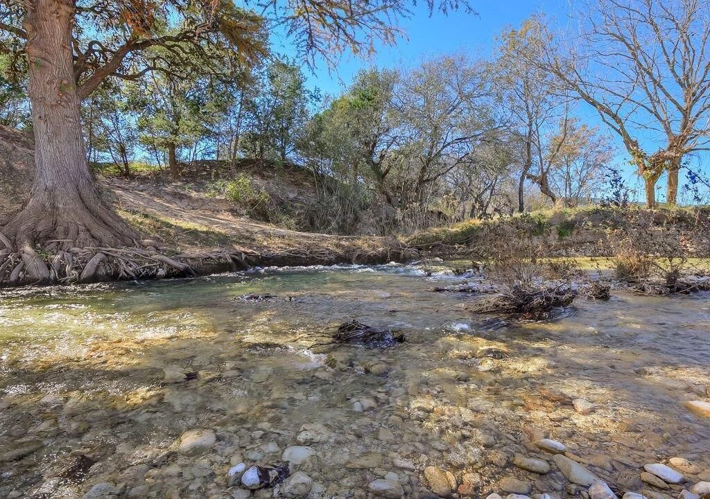 Photo of Others in Leakey
