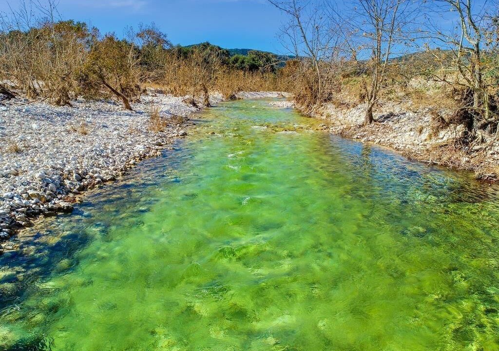 Photo of Others in Leakey