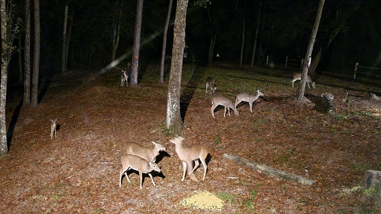 Photo of Outdoor in Escambia County