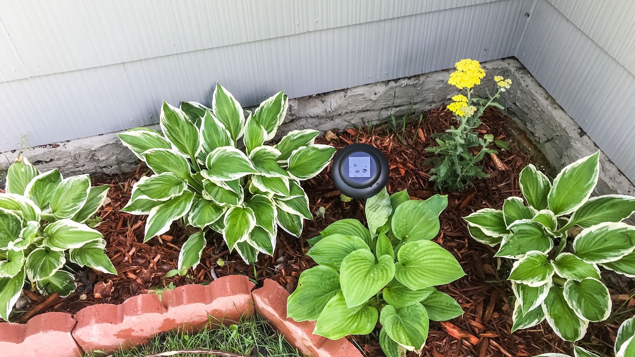 Photo of Outdoor in Bay City