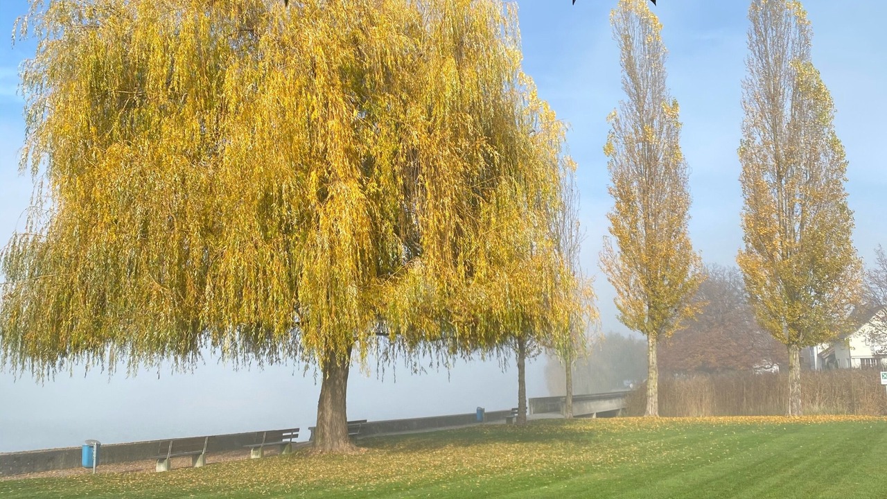 Photo of Outdoor in Ermatingen