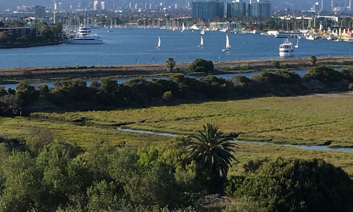 Photo of Others in Playa Del Rey