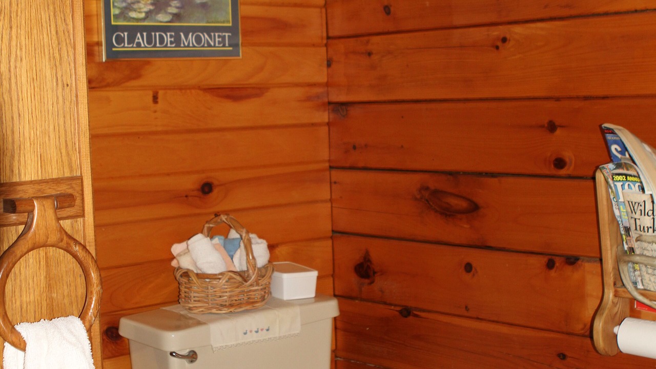 Photo of Bathroom in Town of Masonville