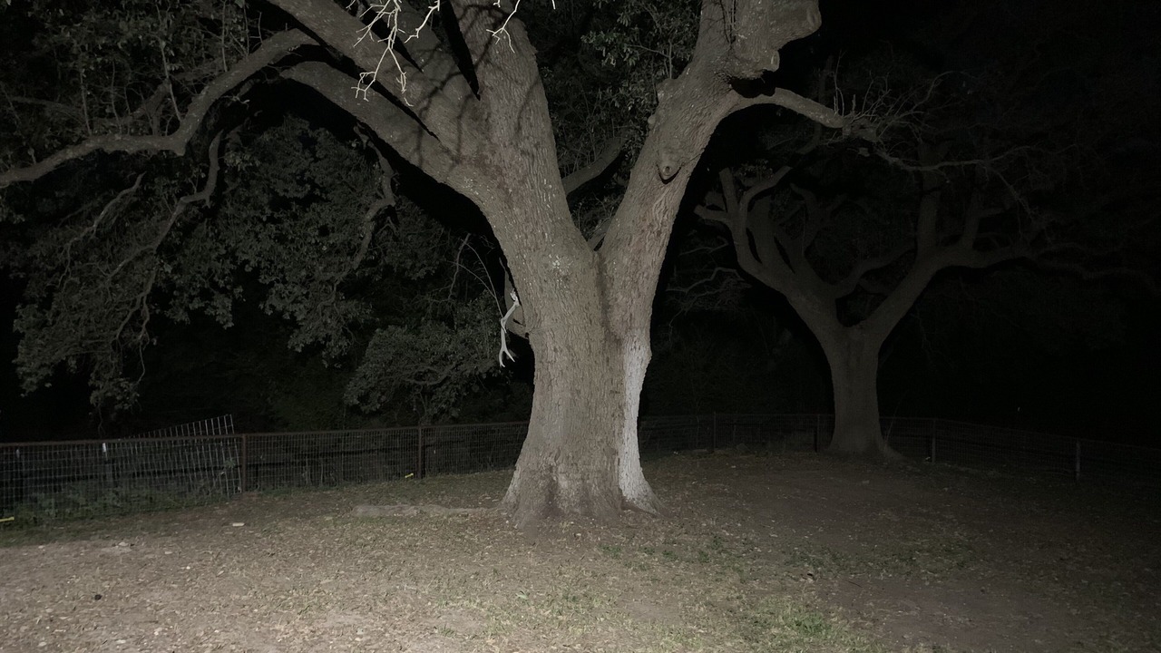 Photo of Outdoor in San Saba