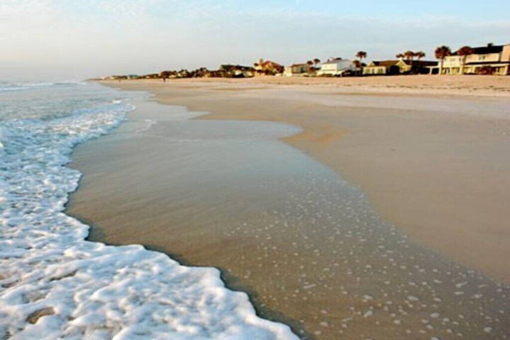 Photo of Others in Palm Valley