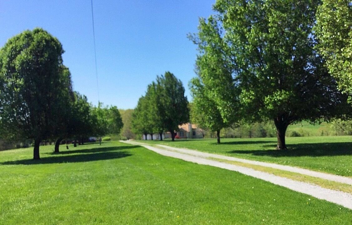 Photo of Others in Cobden