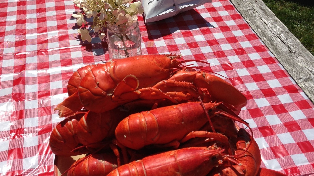 Photo of Others in Boothbay Harbor