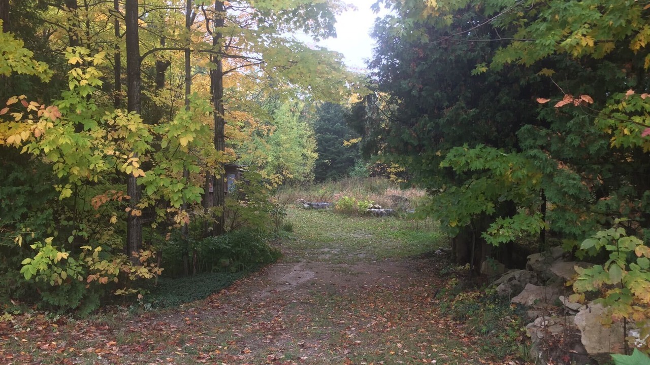 Photo of Outdoor in Colpoys Bay