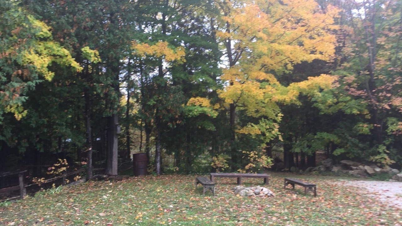 Photo of Outdoor in Colpoys Bay