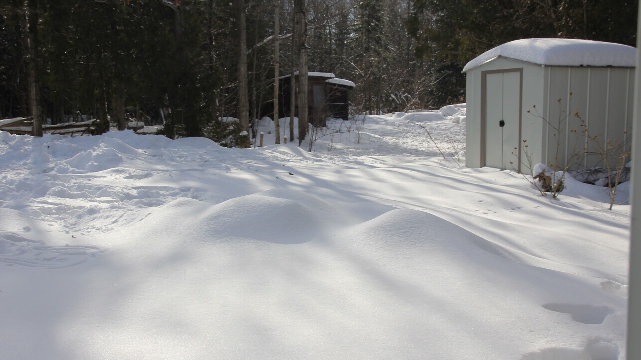 Photo of Outdoor in Colpoys Bay