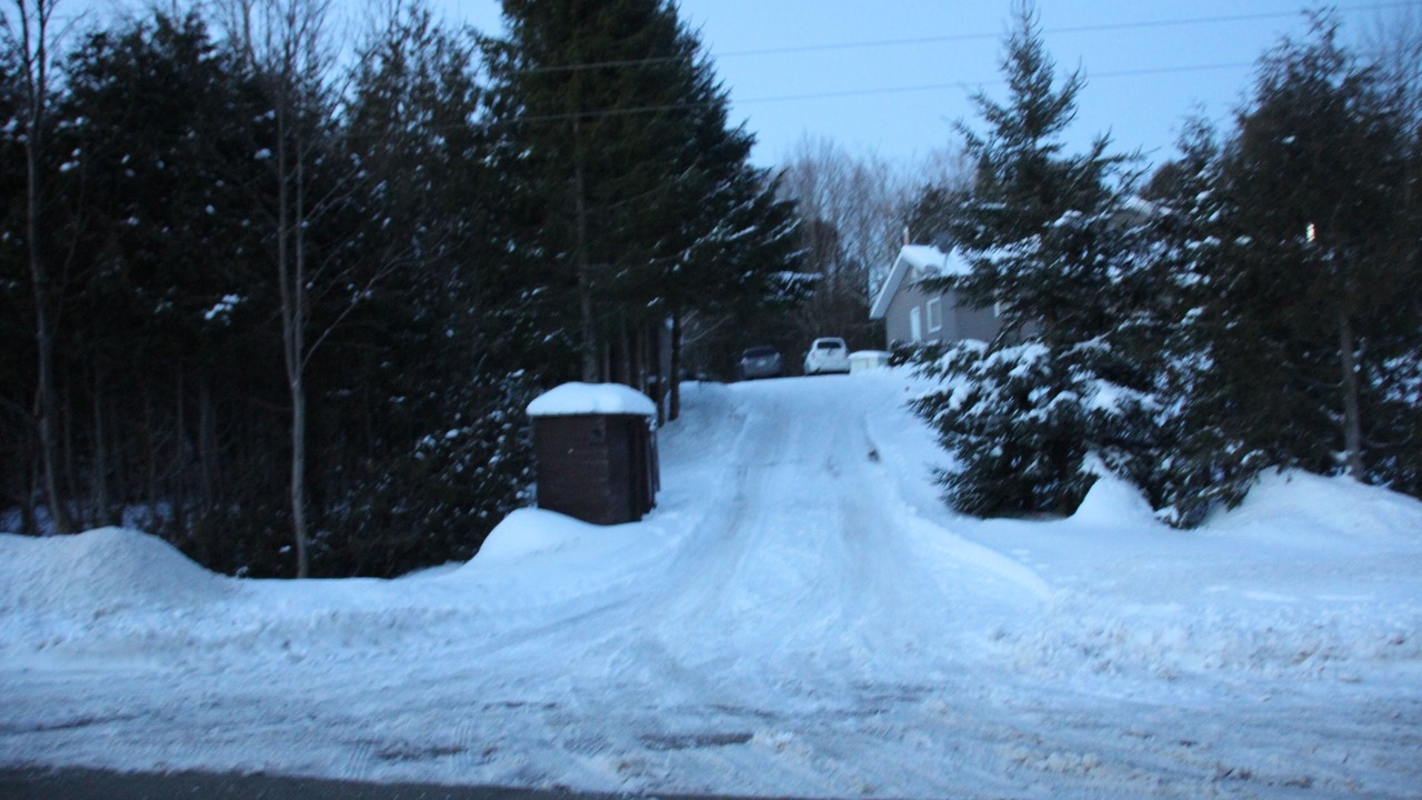 Photo of Outdoor in Colpoys Bay