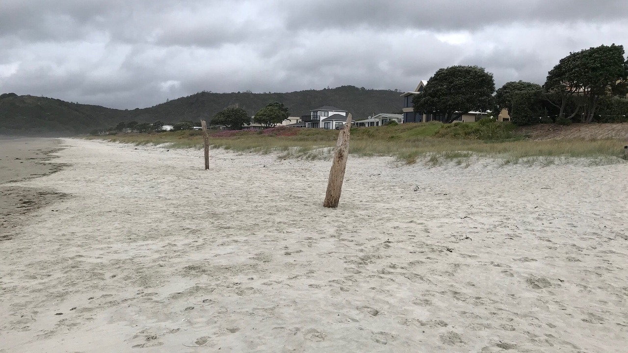 Photo of Others in Matarangi