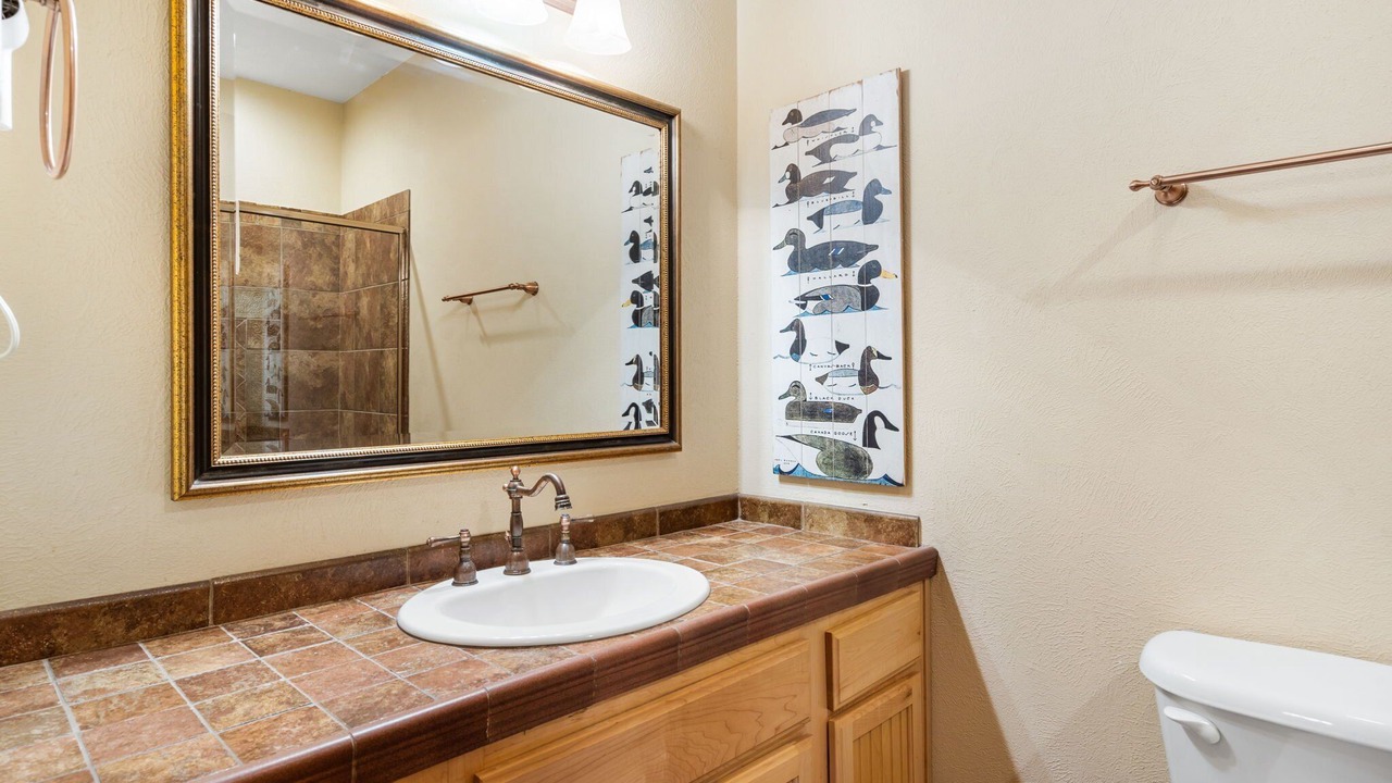 Photo of Bathroom in Branson Theater District