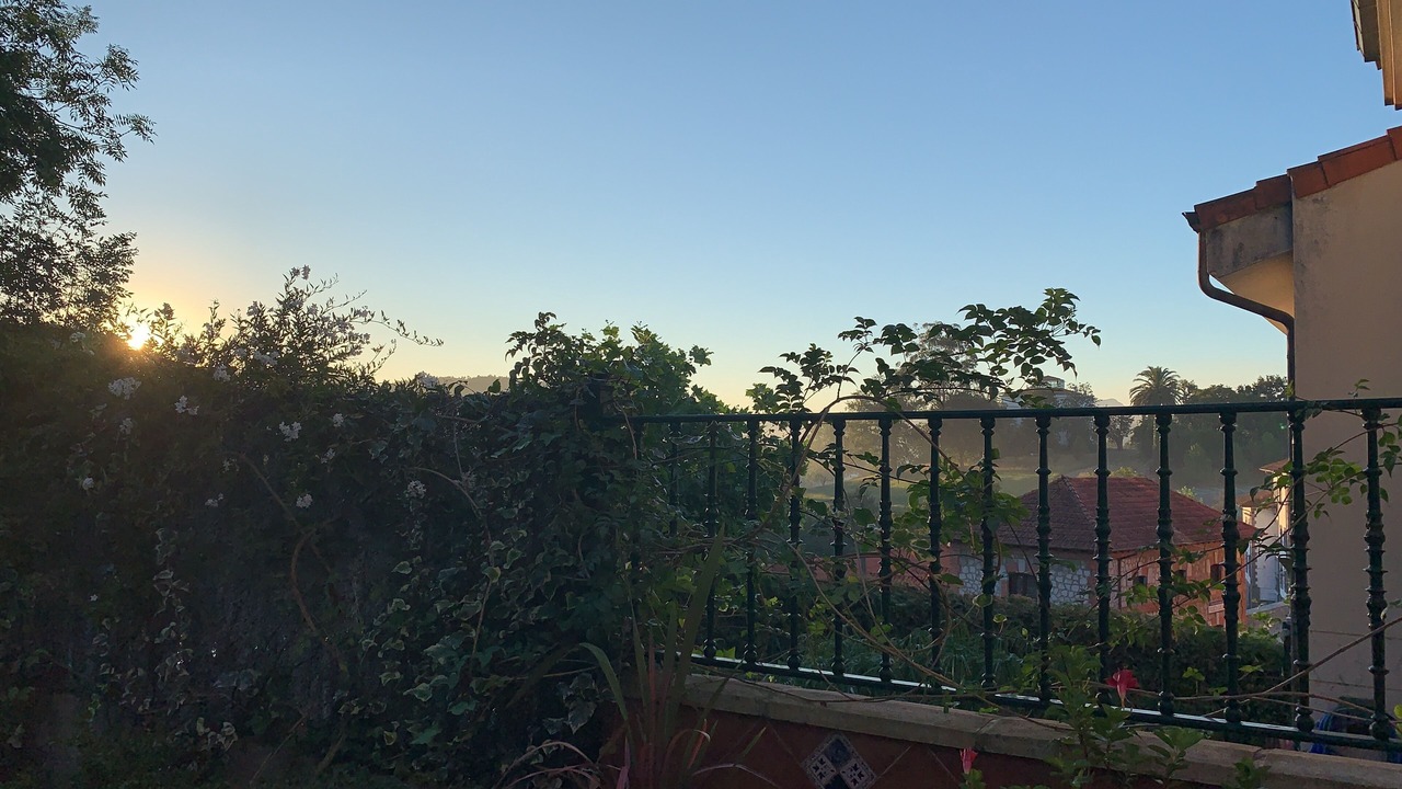Photo of Outdoor in Valdecilla
