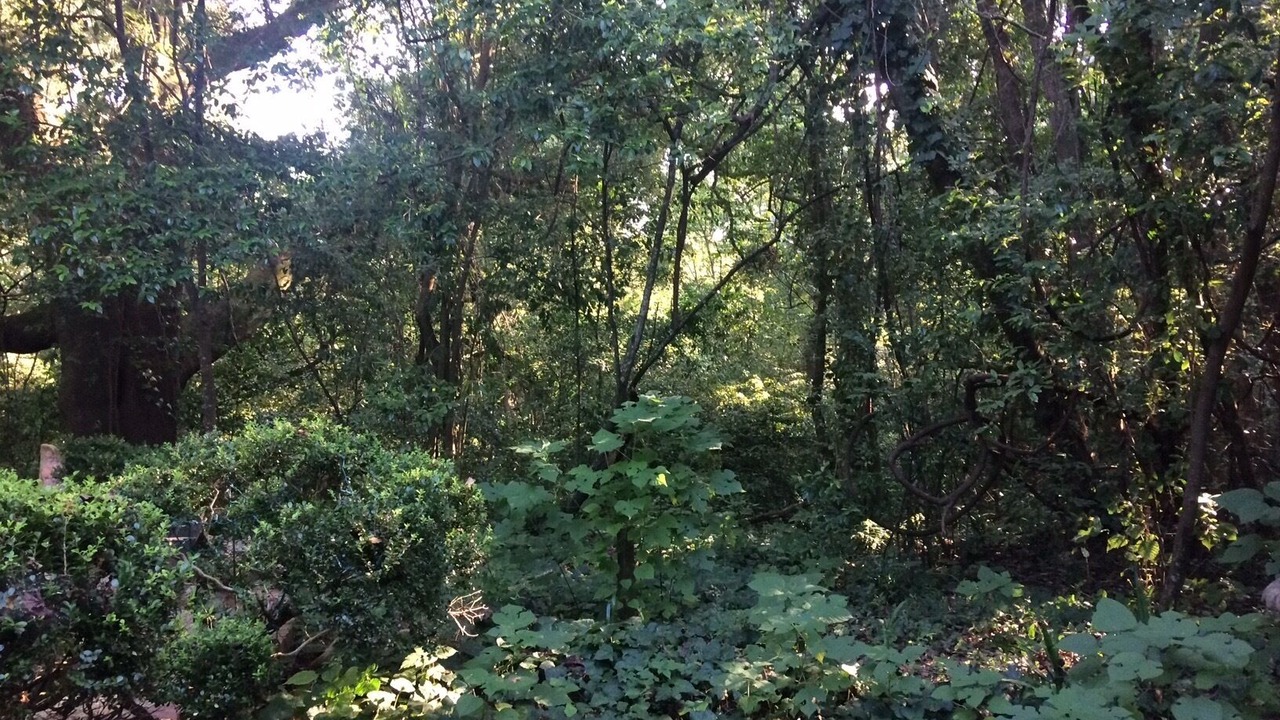 Photo of Outdoor in Highlands - Perkins