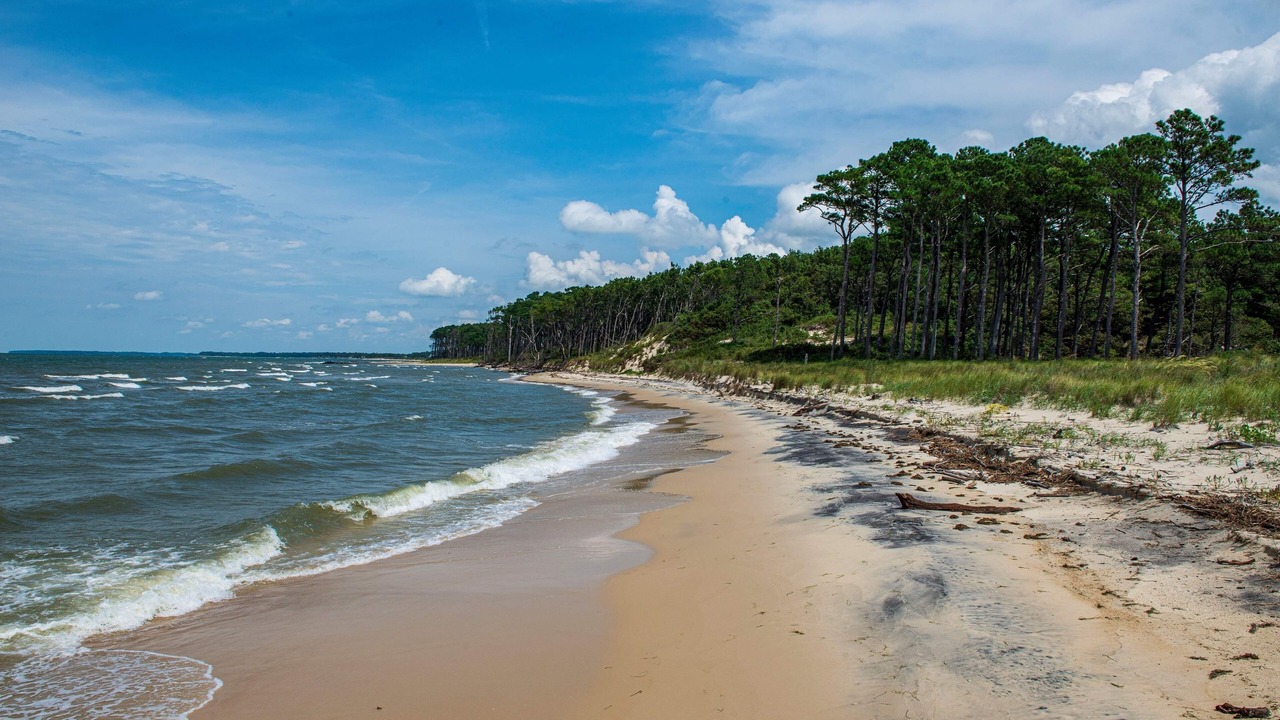 Photo of Others in Cape Charles