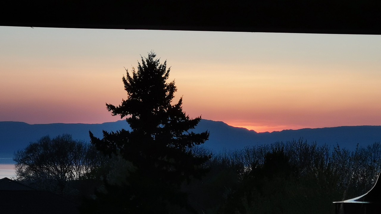 Photo of Others in Publier