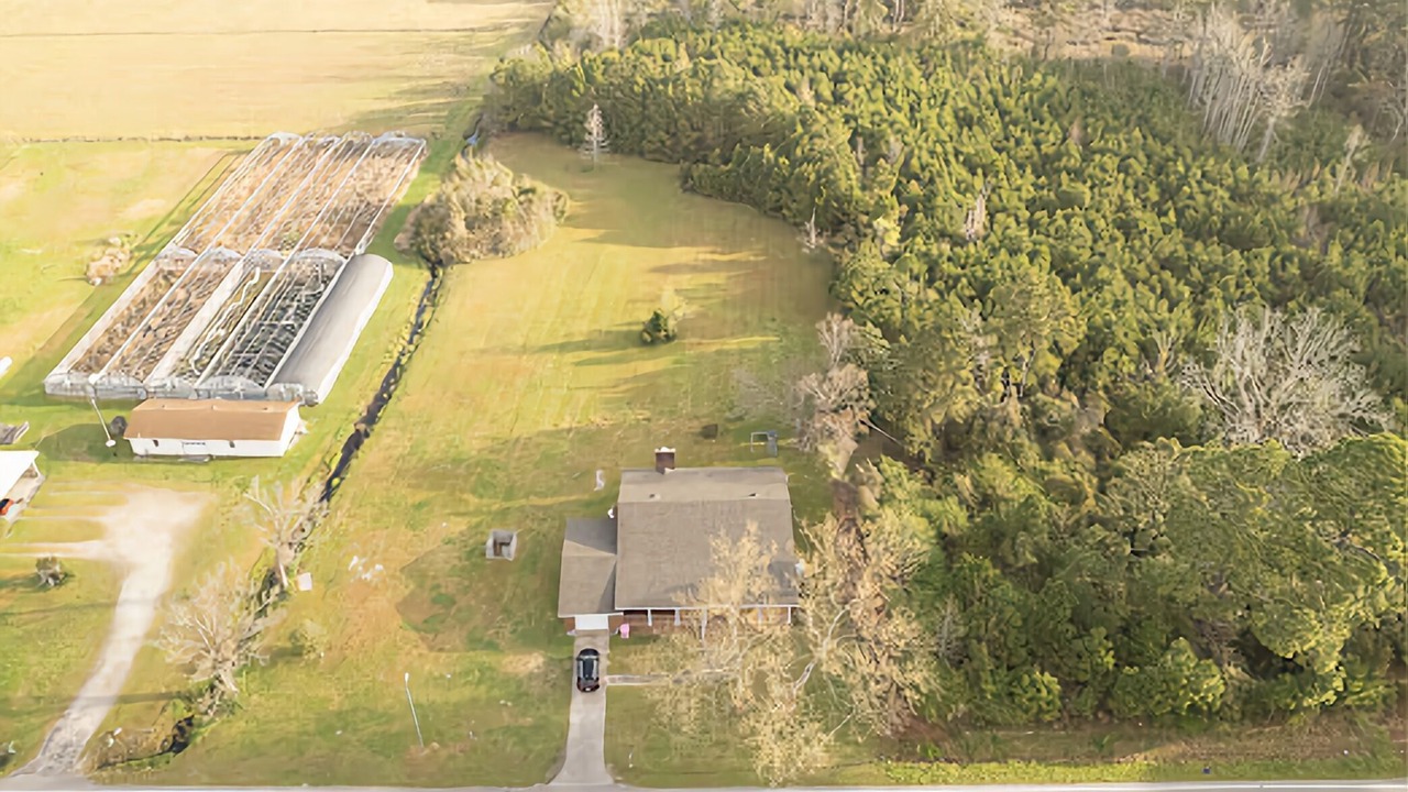 Photo of Outdoor in Beaufort