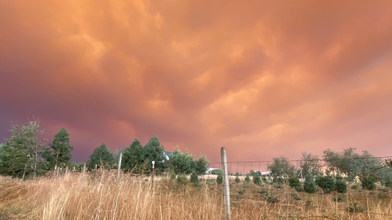 Photo of Others in Newberg