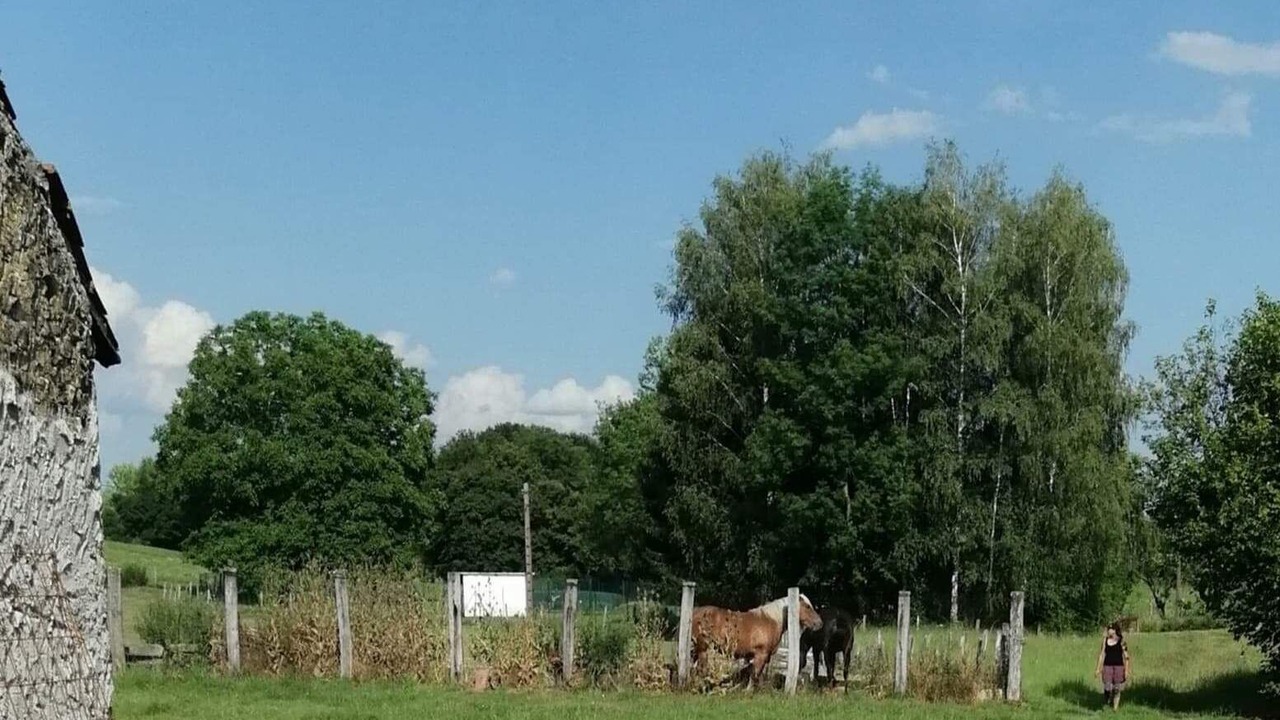 Photo of Outdoor in Venisey