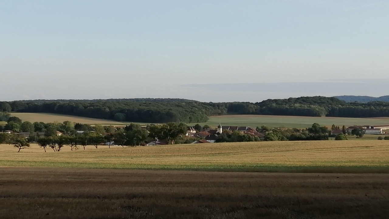 Photo of Others in Venisey