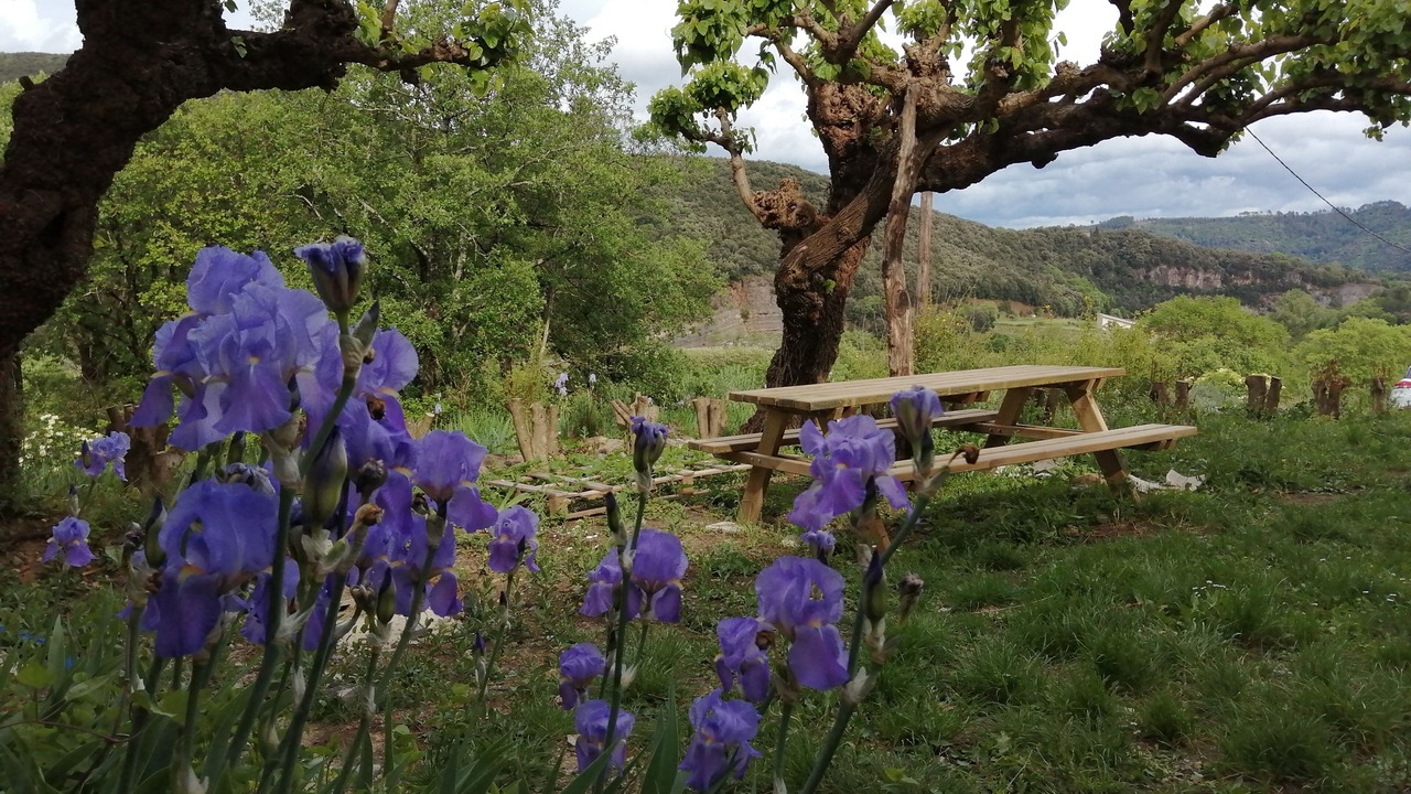 Photo of Outdoor in Thoiras