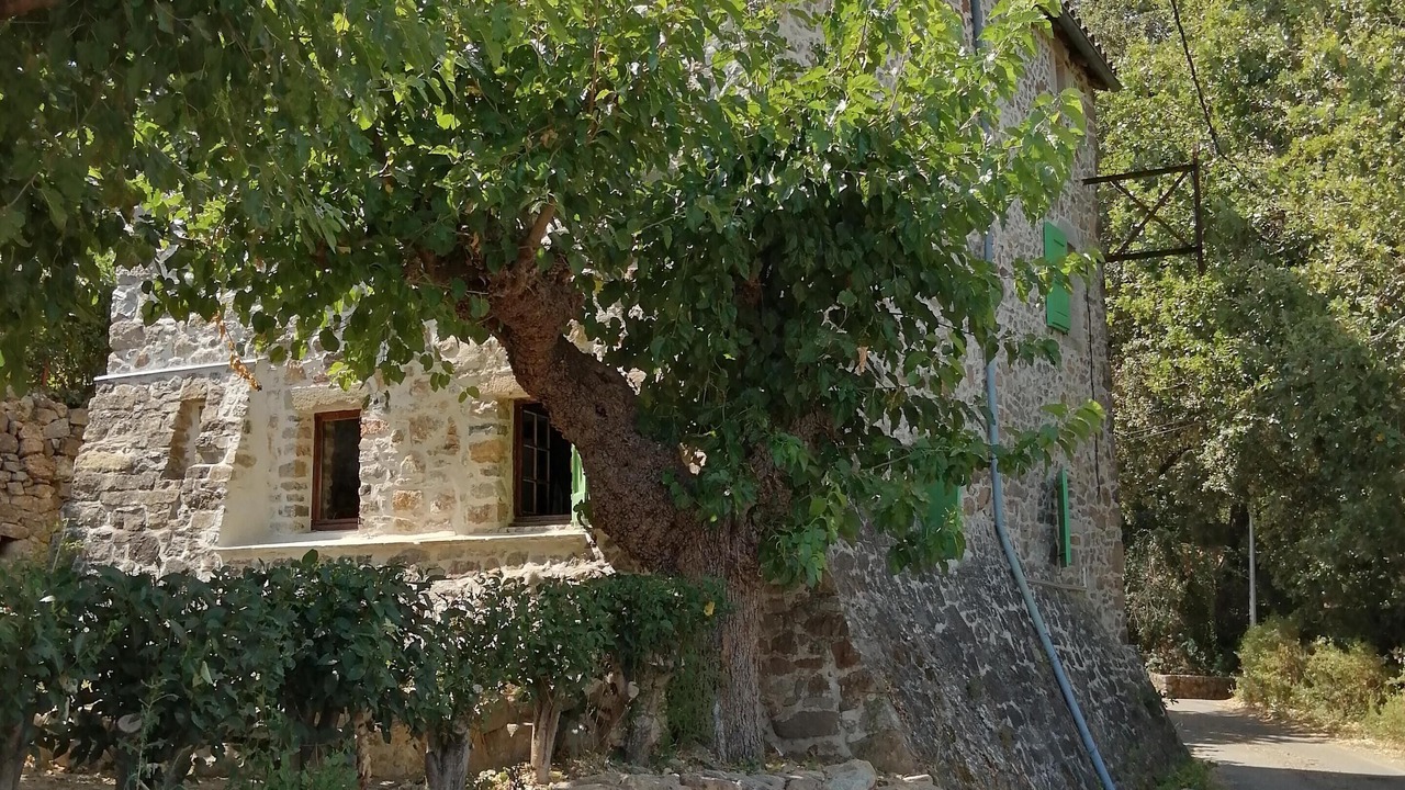 Photo of Outdoor in Thoiras