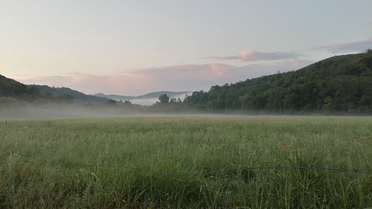 Photo of Outdoor in Thoiras