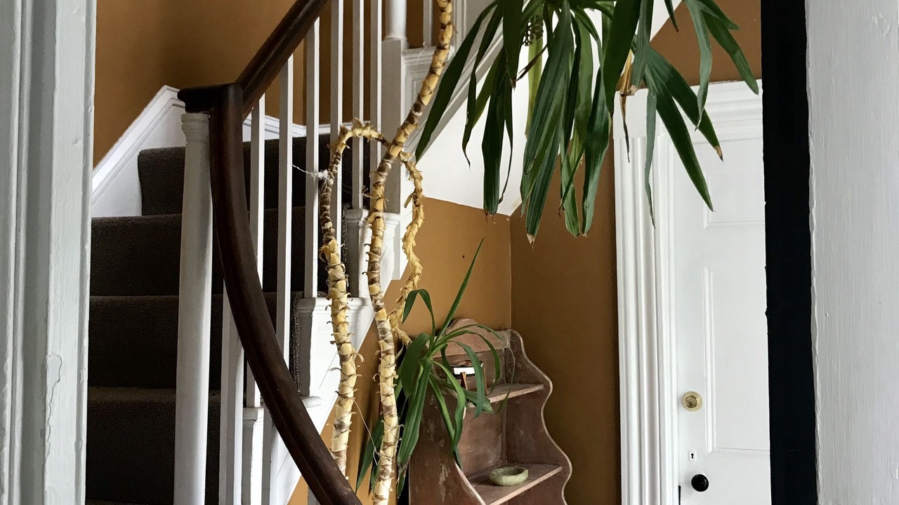 Photo of Others in Danvers