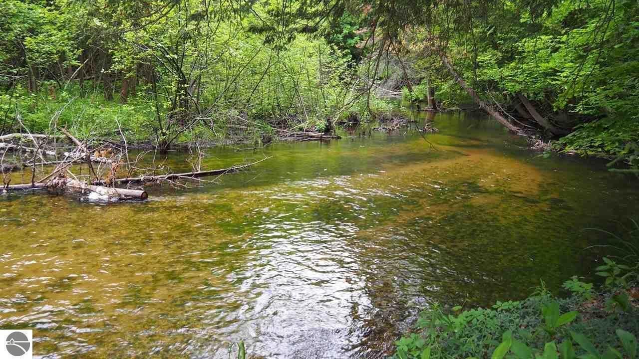 Photo of Outdoor in Arcadia