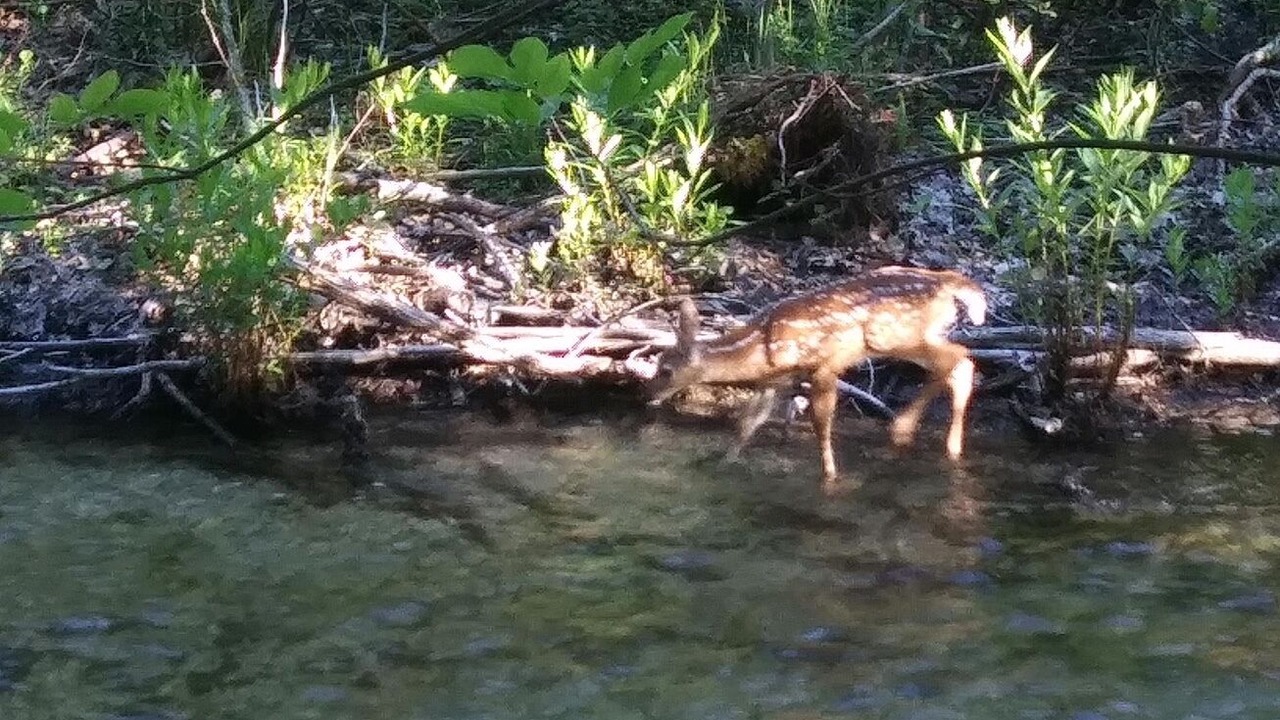 Photo of Outdoor in Arcadia