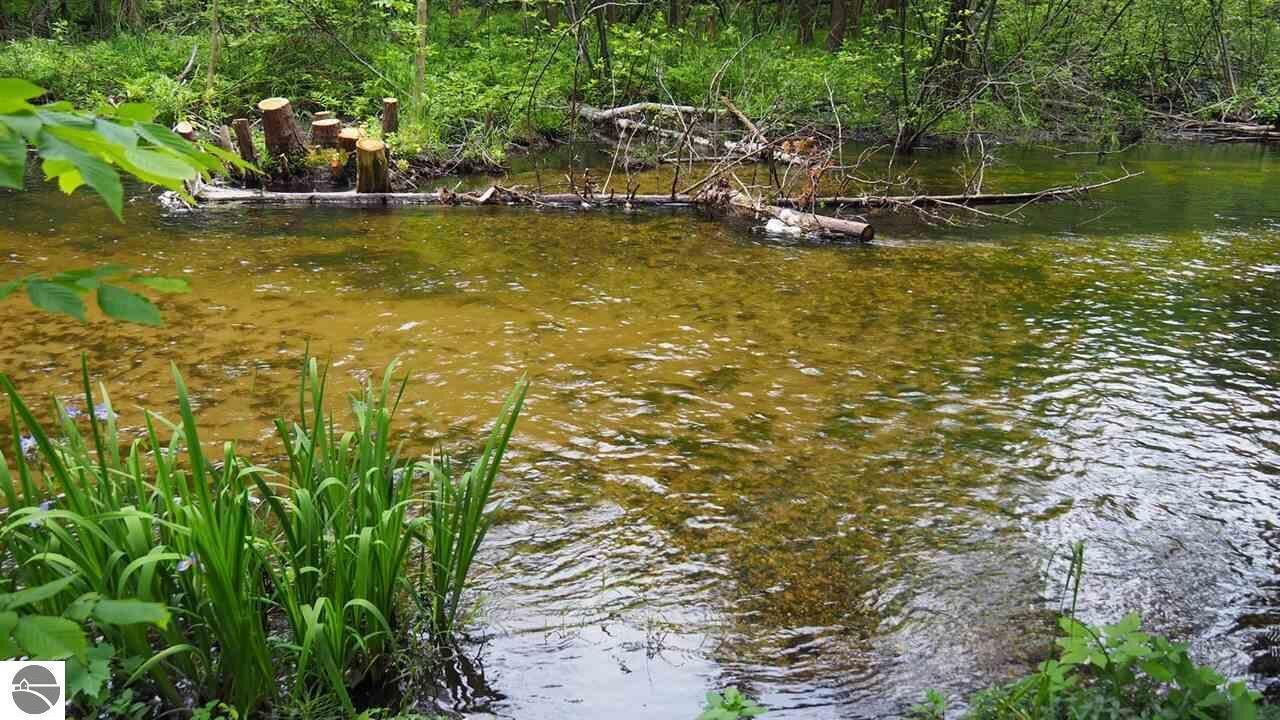 Photo of Outdoor in Arcadia