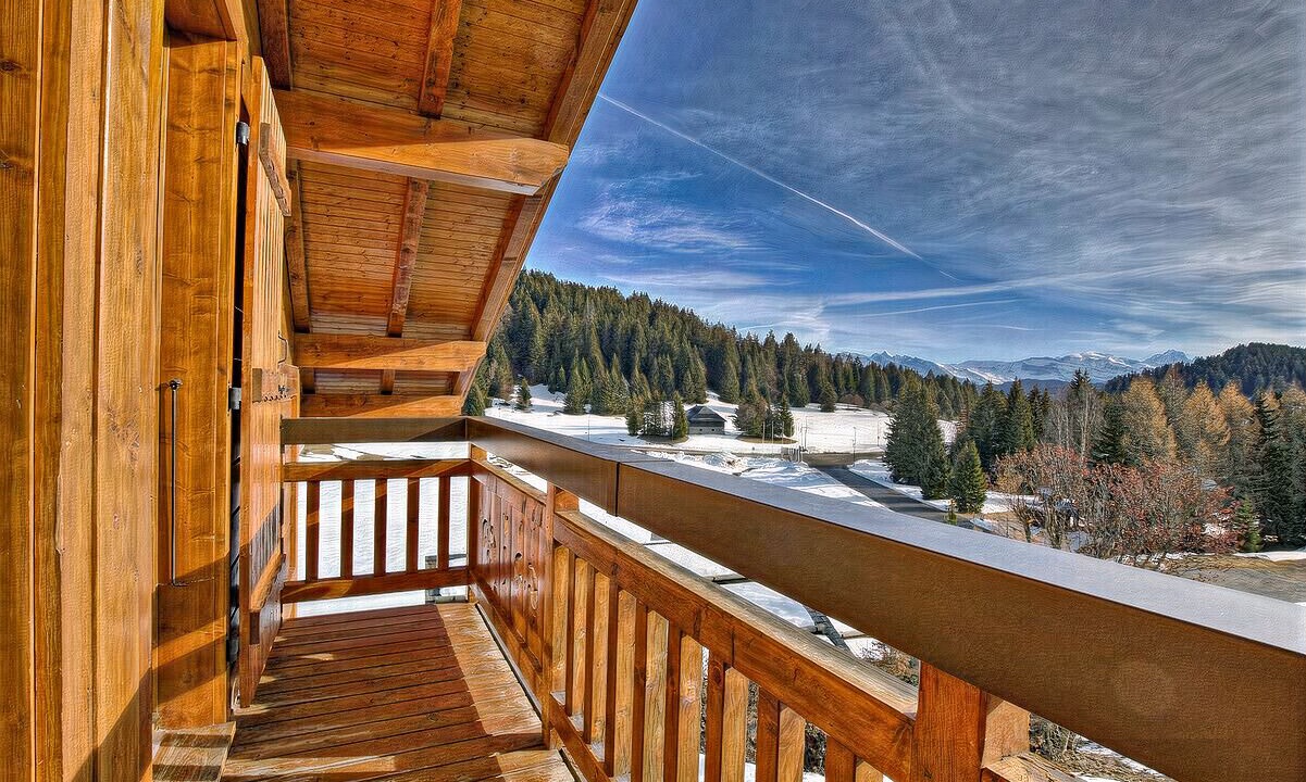 Photo of Outdoor in Le Praz de Lys