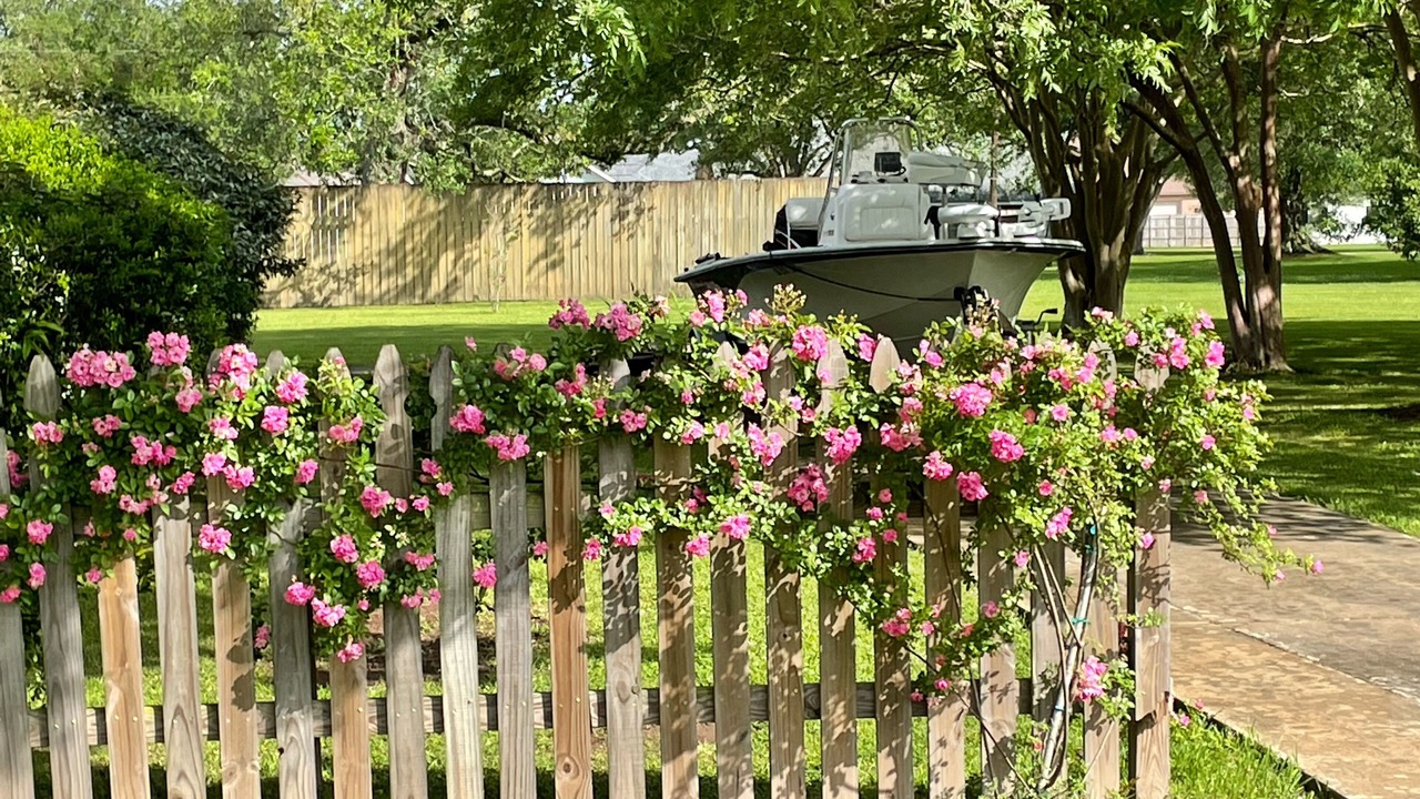 Photo of Outdoor in Breaux Bridge