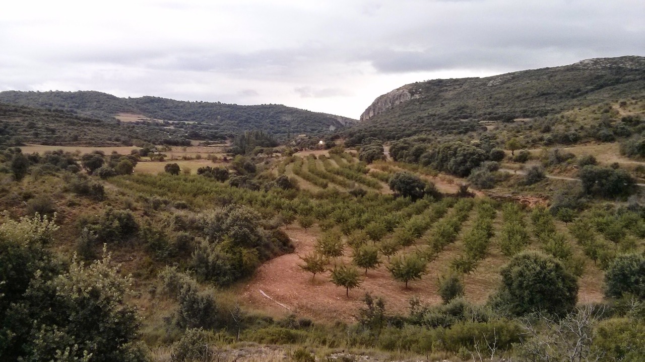 Photo of Others in Peralta de Calasanz