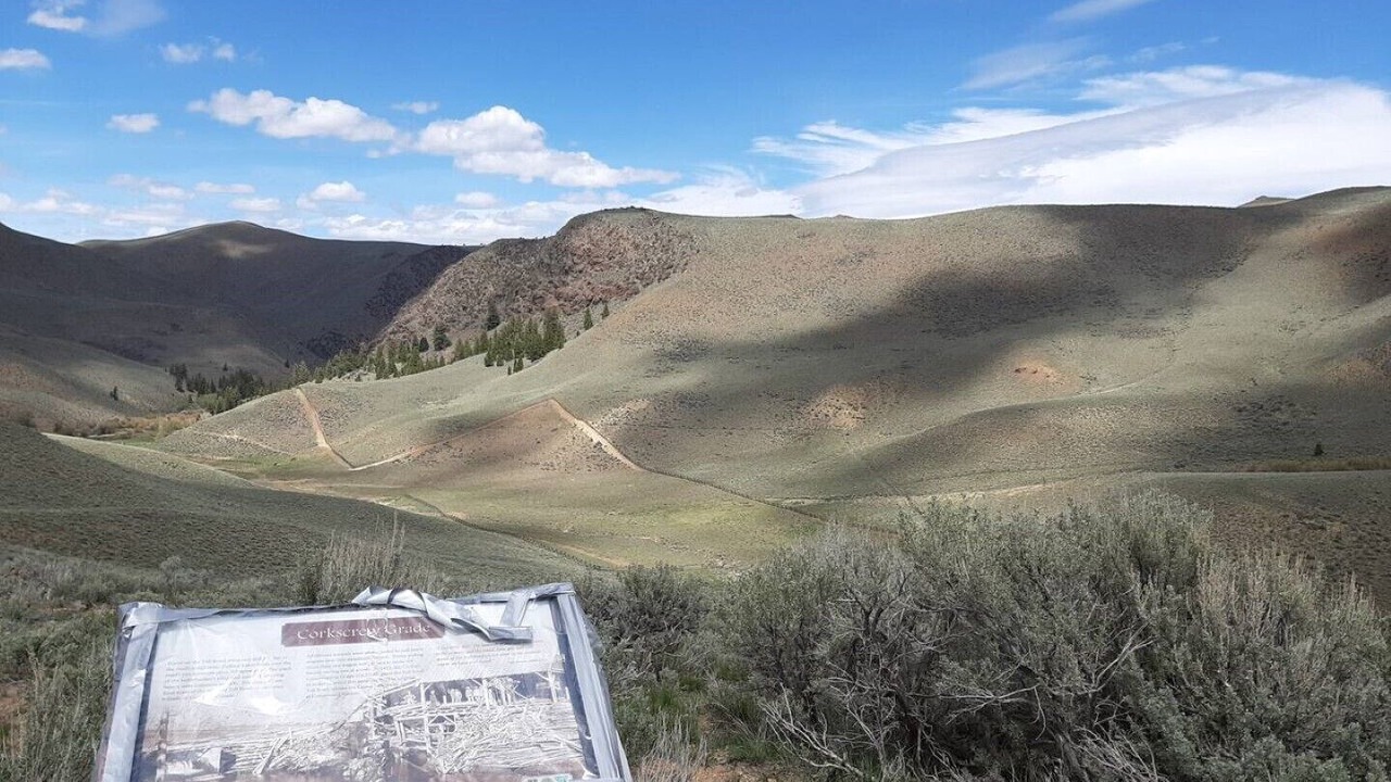 Photo of Others in Challis