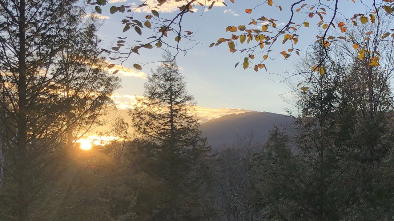 Photo of Bedroom in Peru