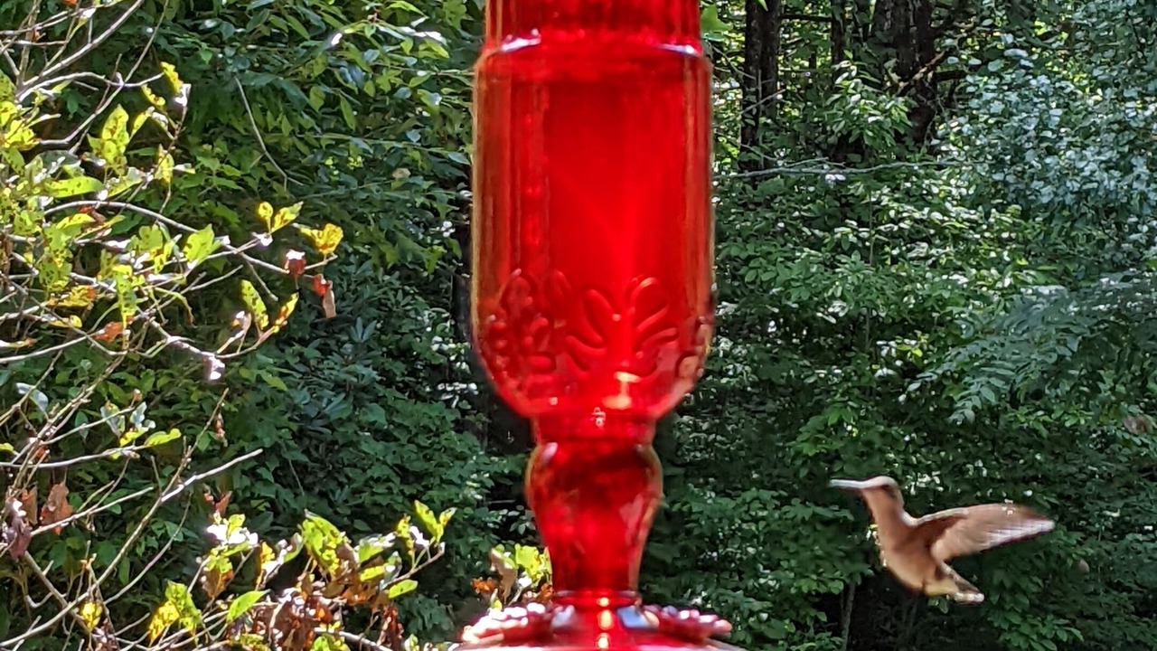 Photo of Outdoor in Black Mountain