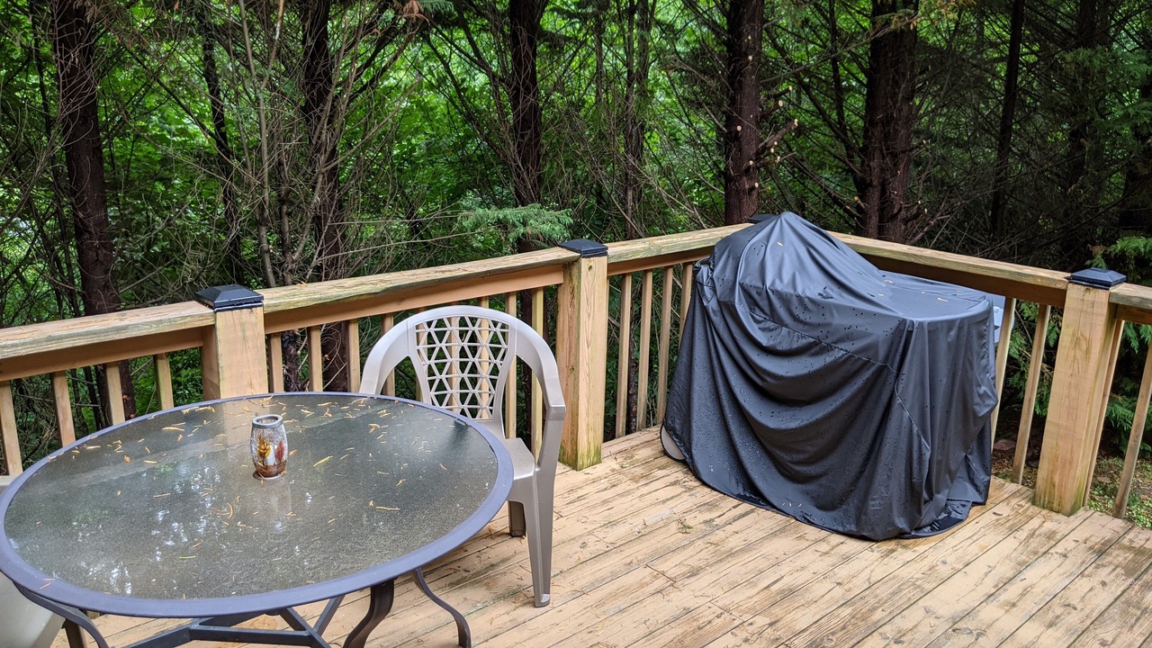 Photo of Outdoor in Black Mountain