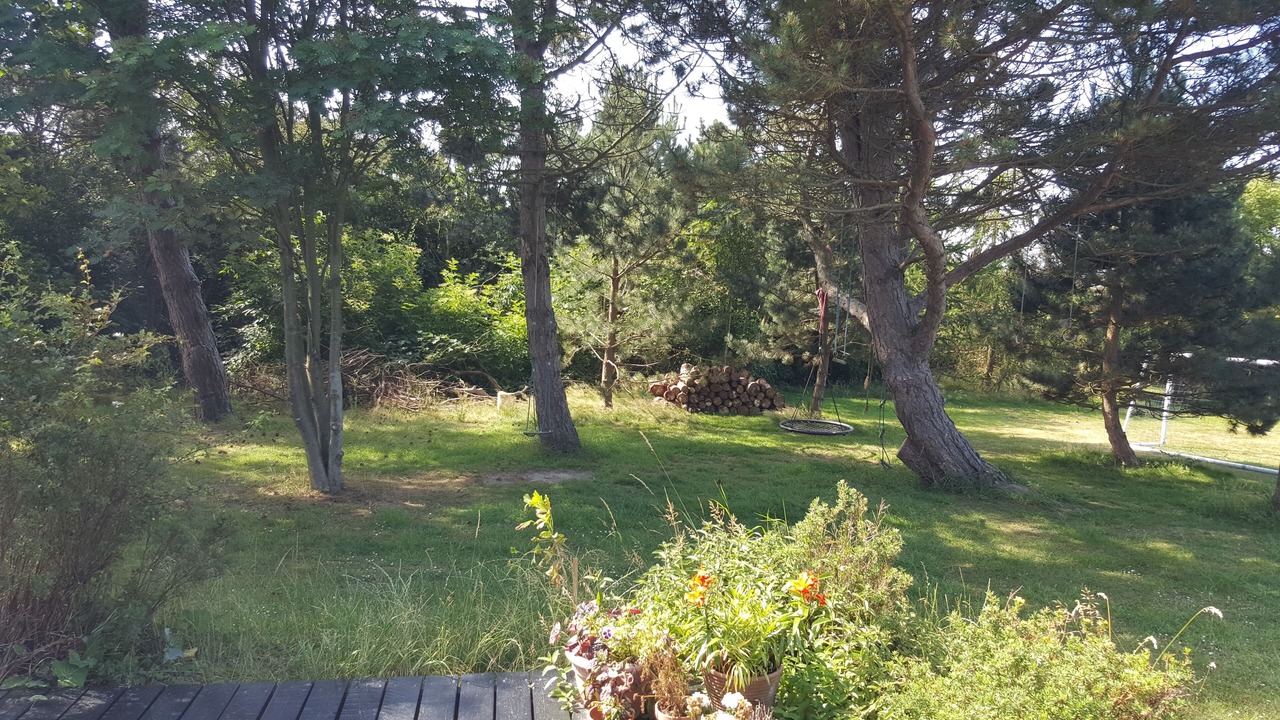 Photo of Others in Sklskr