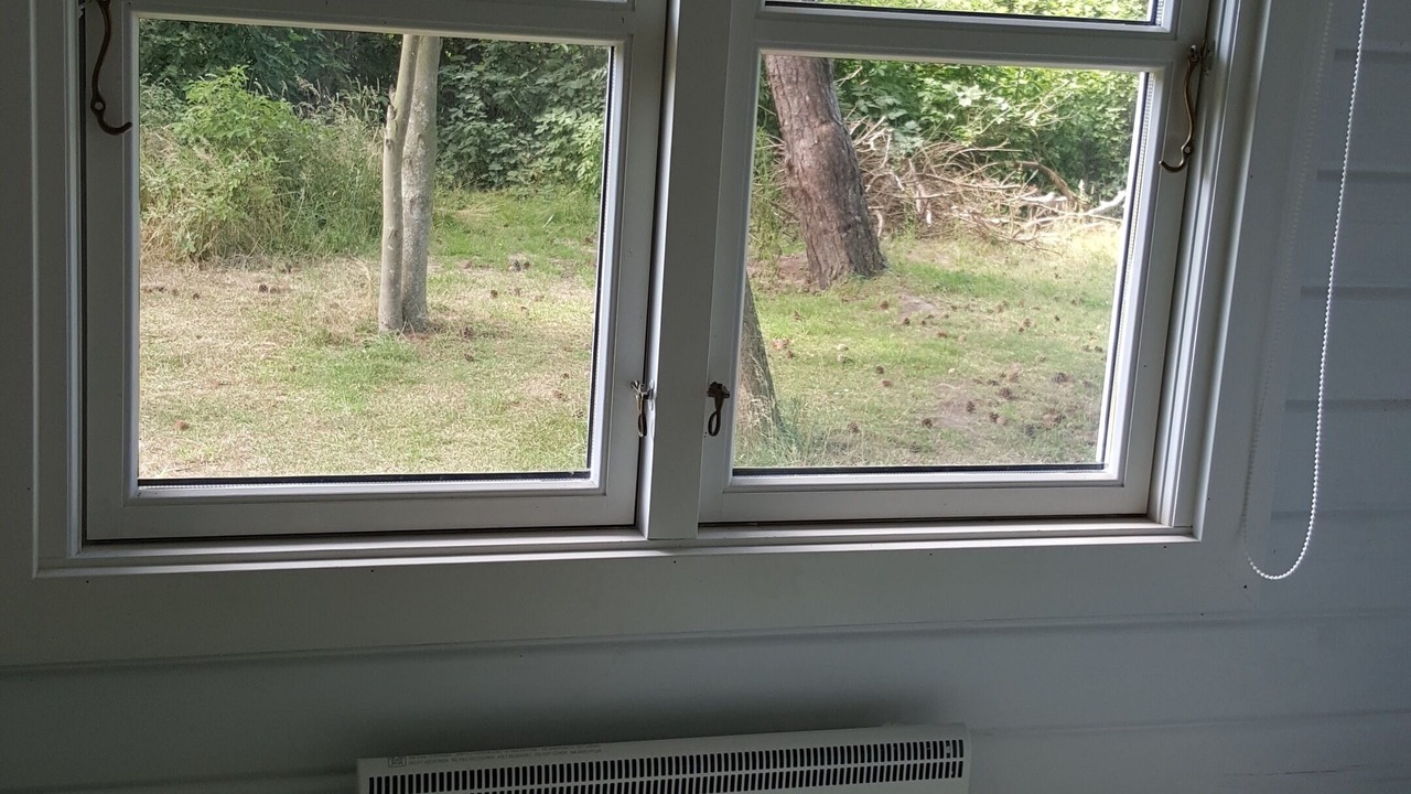 Photo of Others in Sklskr